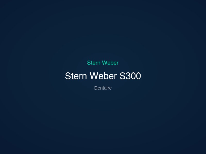 Stern Weber S300